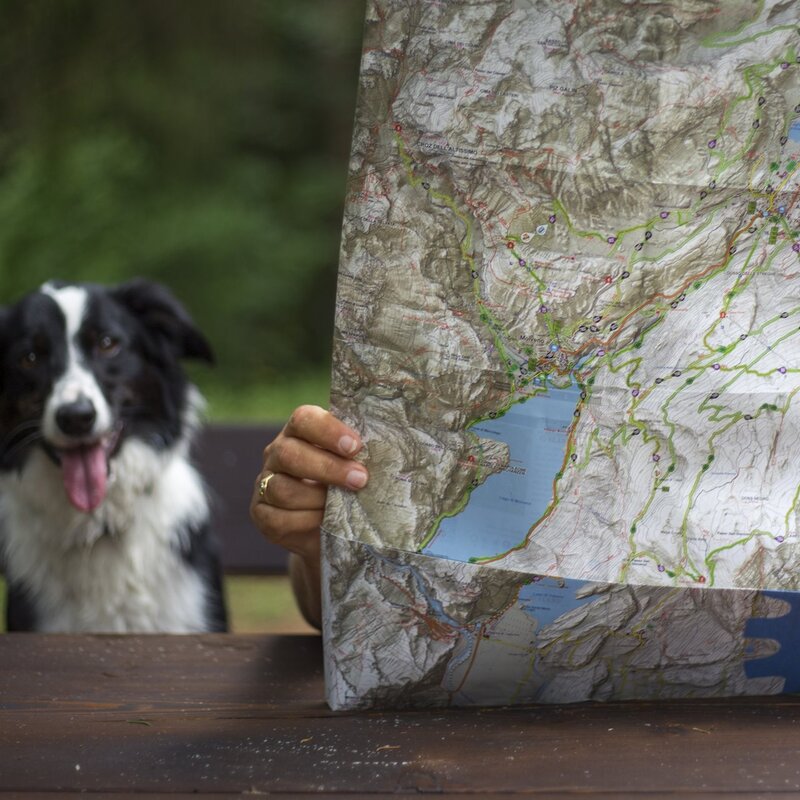 In vacanza con il cane