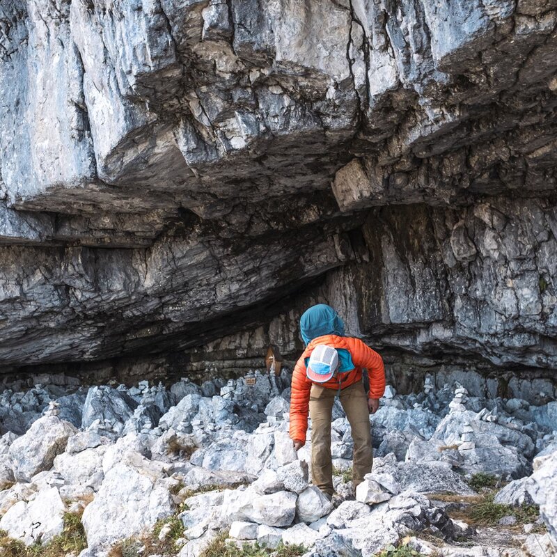 Alpine guides